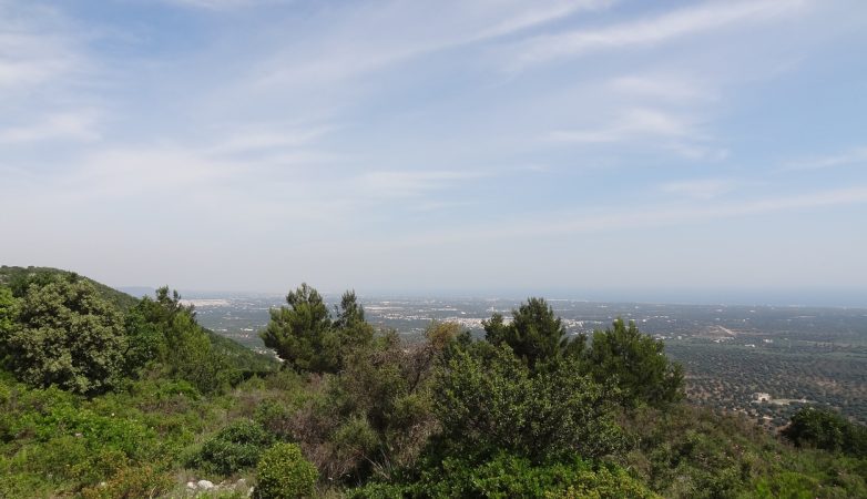 DSC00580